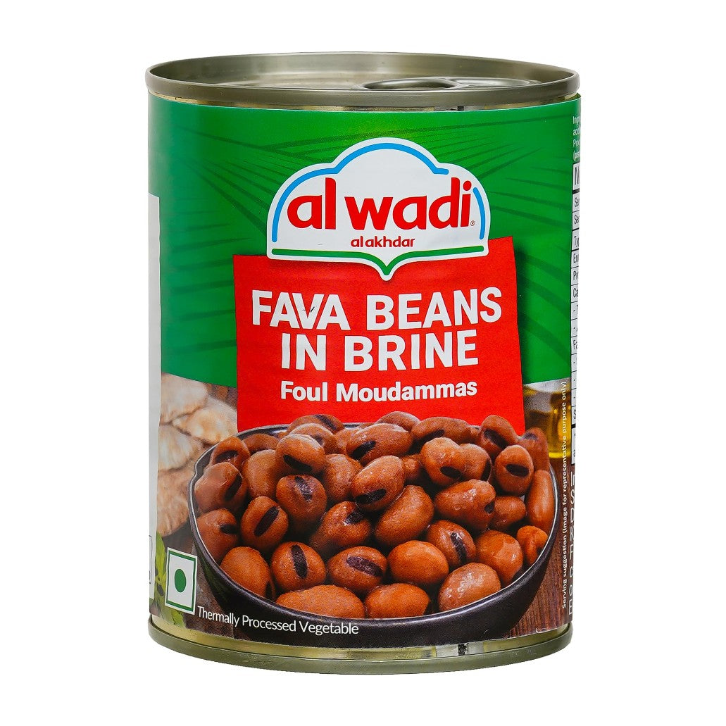 AL WADI FOUL MOUDAMMAS 400G