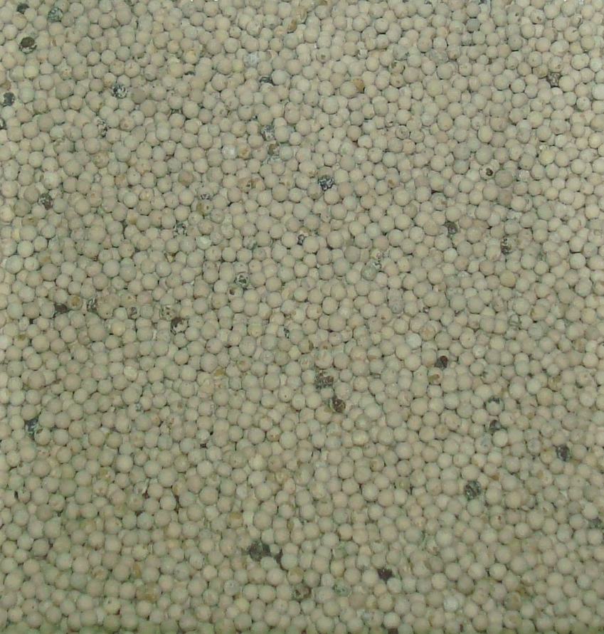 بهار ابيض حب