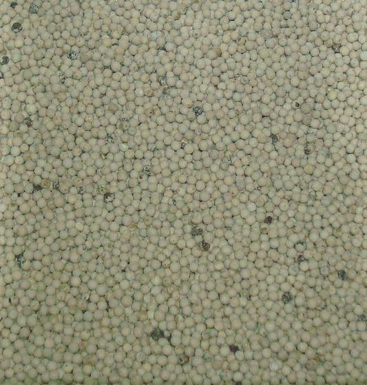 بهار ابيض حب