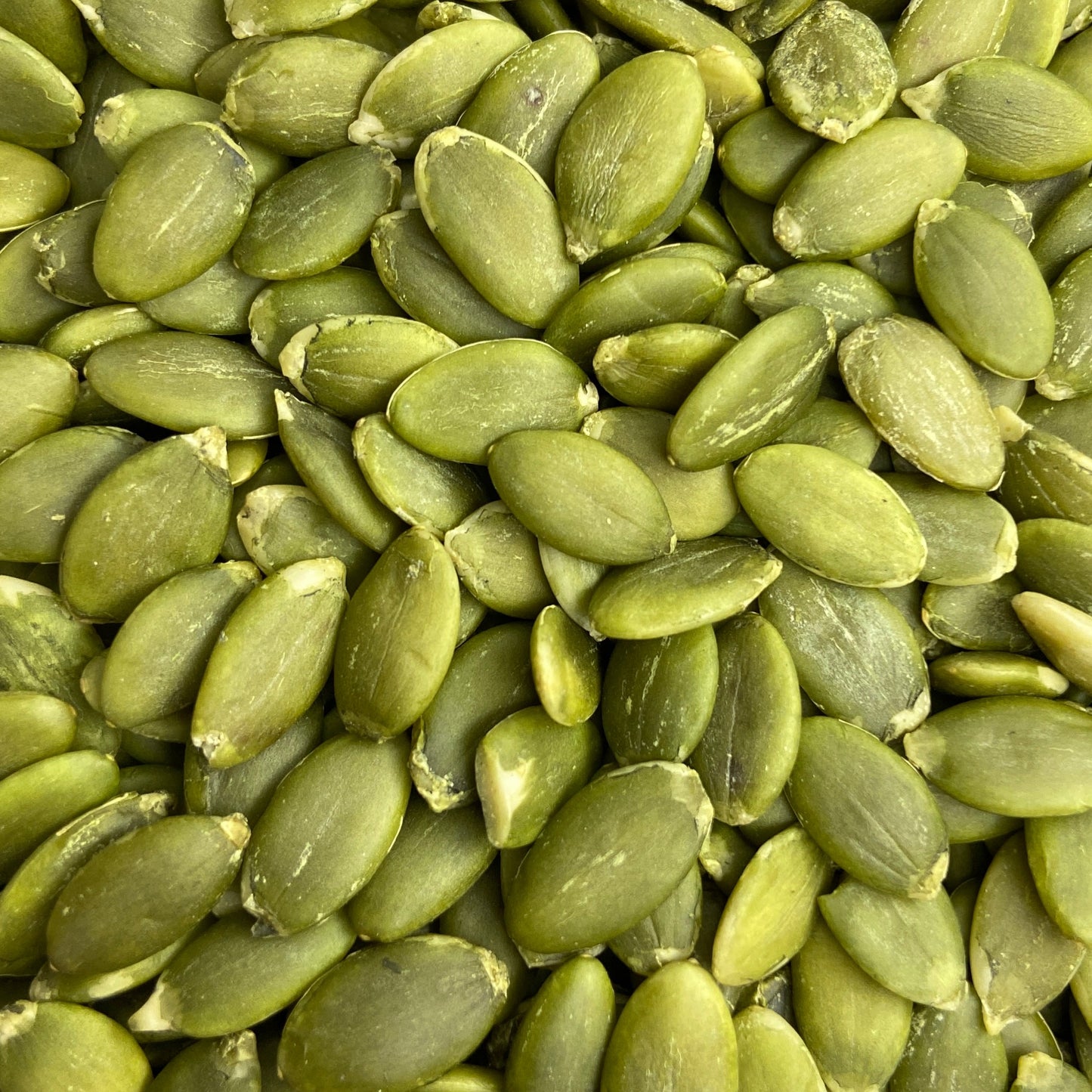 بزر لقطين مفقى